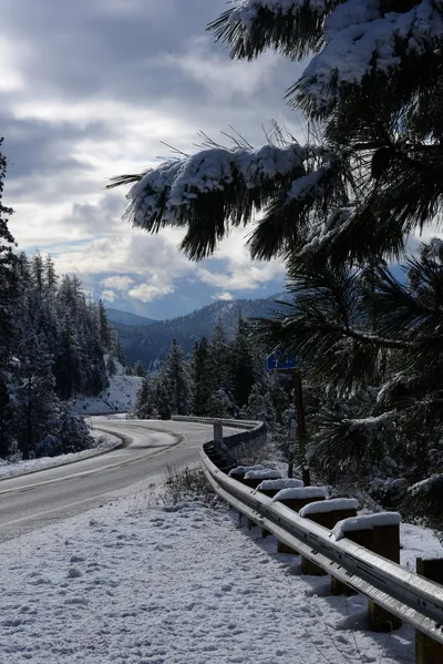 DSC_0776 (Large).JPG